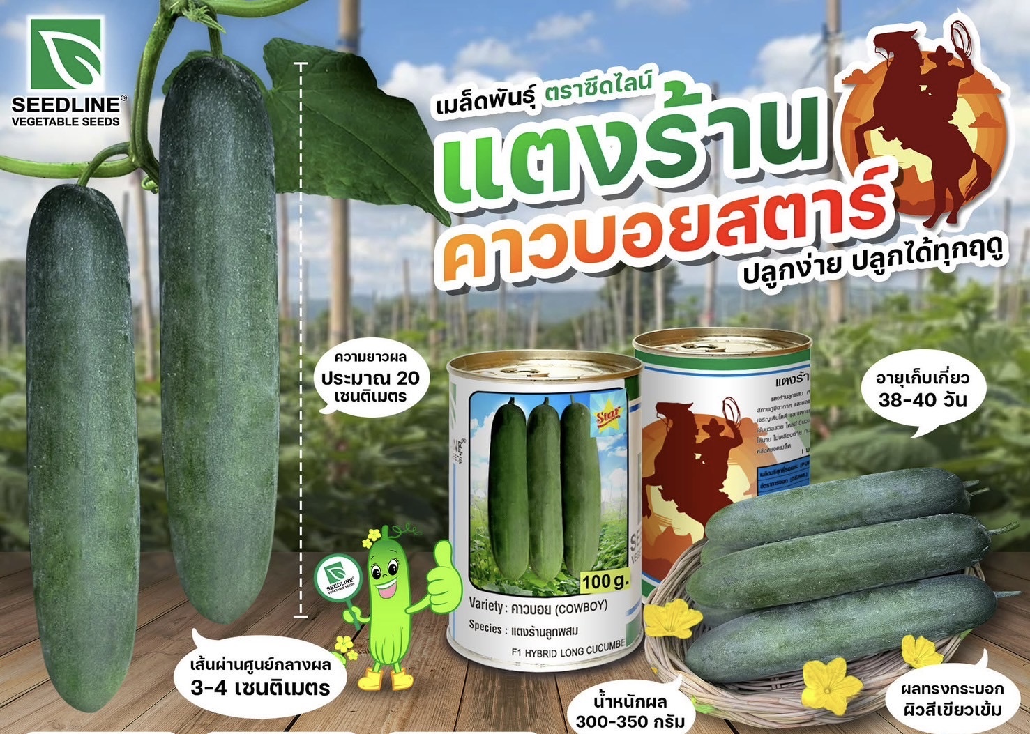 Seed Line(ซีดไลน์) ซอง10กรัม เมล็ดพันธุ์ แตงร้าน คาวบอย ตราซีดไลน์ NOBEL Cucumber