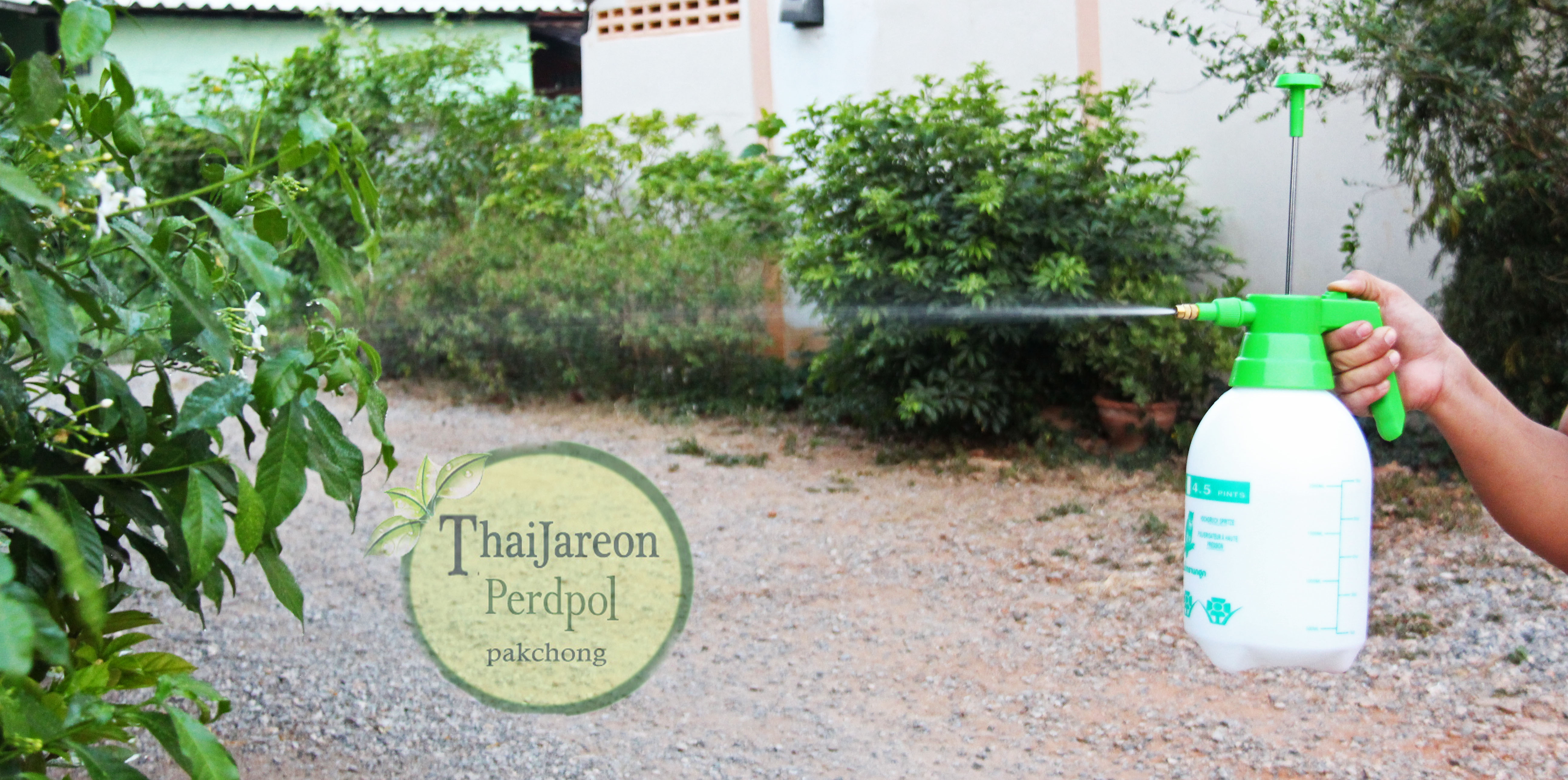 สเปรย์ foggy กระบอกฉีดน้ำแรงดัน Hand Pressure Foggy กระบอกฉีดน้ำยา ฟ็อกกี้ ขนาด 2 ลิตร