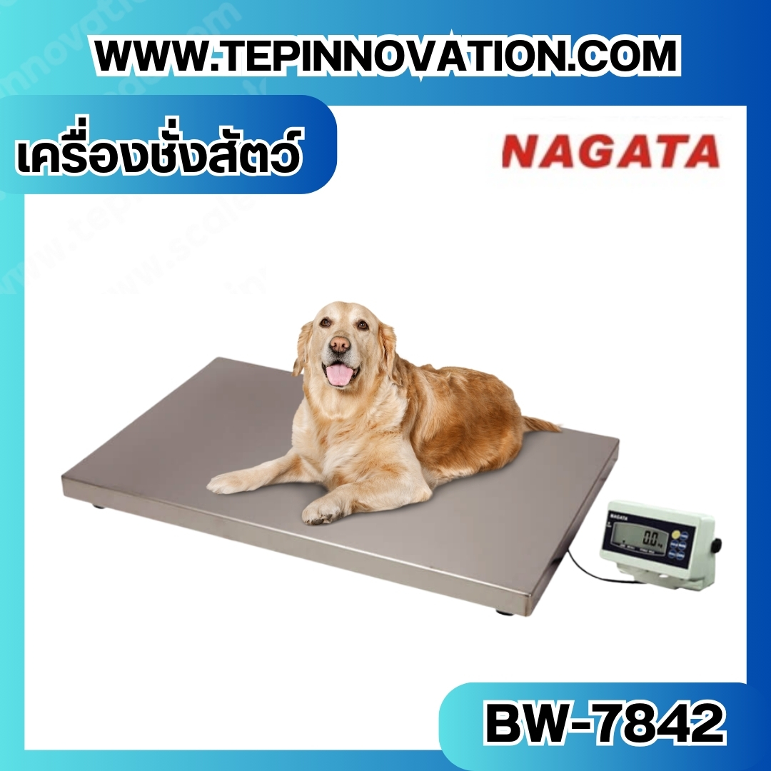 เครื่องชั่งสัตว์ เครื่องชั่งสัตว์เลี้ยง เครื่องชั่งน้ำหนักสัตว์ ขั่งน้ำหนักได้ 300 kg ค่าละเอียด 50g Pet Scales BW-7842 300kg 50g