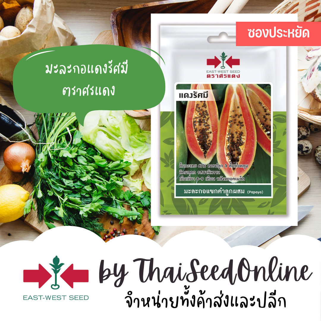 VP3 ซฟ เมล็ดพันธุ์ มะละกอแขกดำ แดงรัศมี 6เมล็ด ตราศรแดง Papaya