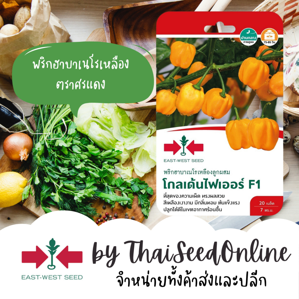 Sorndang(ศรแดง) GGEW เมล็ดพันธุ์ พริกปีศาจ พริกฮาบาโนโร่ โกลเด้นไฟเออร์ 20เมล็ด ตราศรแดง Yellow Habanero Chilli