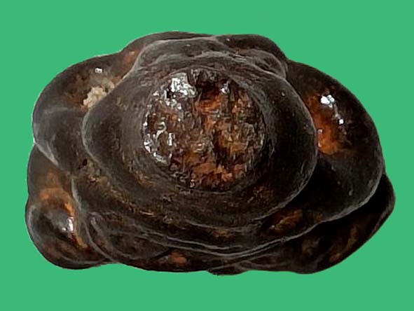 พระปิดตาแร่บางไผ่ องค์ที่ 4