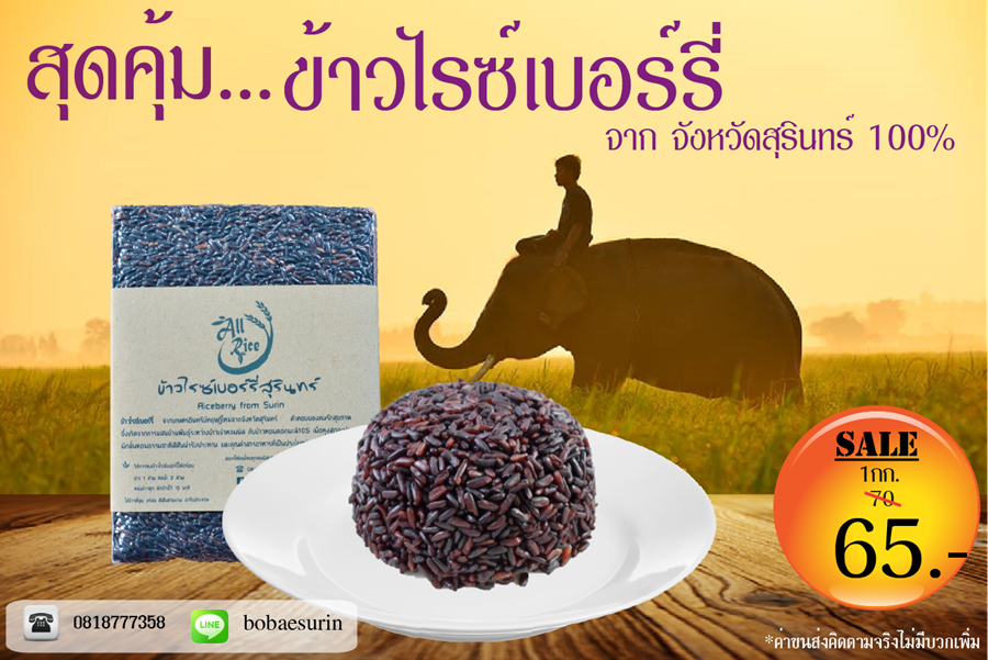 ข้าวไรซ์เบอร์รี่ เกรด A สุดคุ้ม