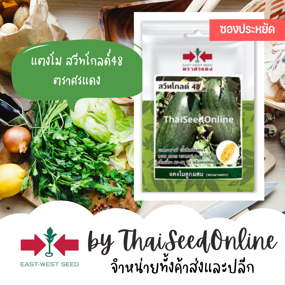 VP3 ซฟ เมล็ดพันธุ์ แตงโมสวีทโกลด์48 ต 8เมล็ด ตราศรแดง แตงโมสีเหลือง แตงโมเหลือง แตงโมตอปิโดสีเหลือง Yellow Watermelon