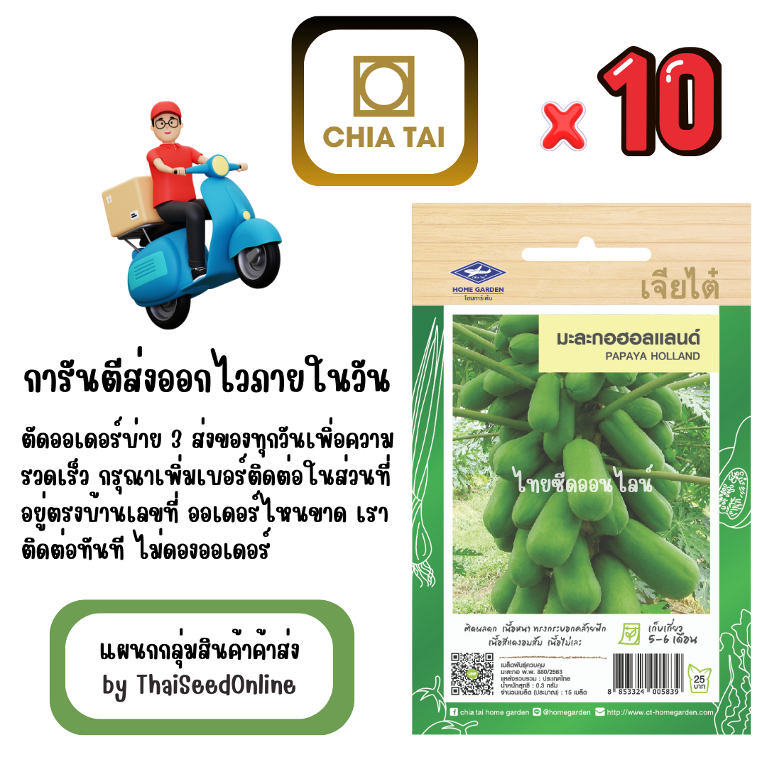 CTF1 x 10 เมล็ดผักซองเจียไต๋ มะระจีน วิสต้าพลัส สินค้ายกแพ็ค