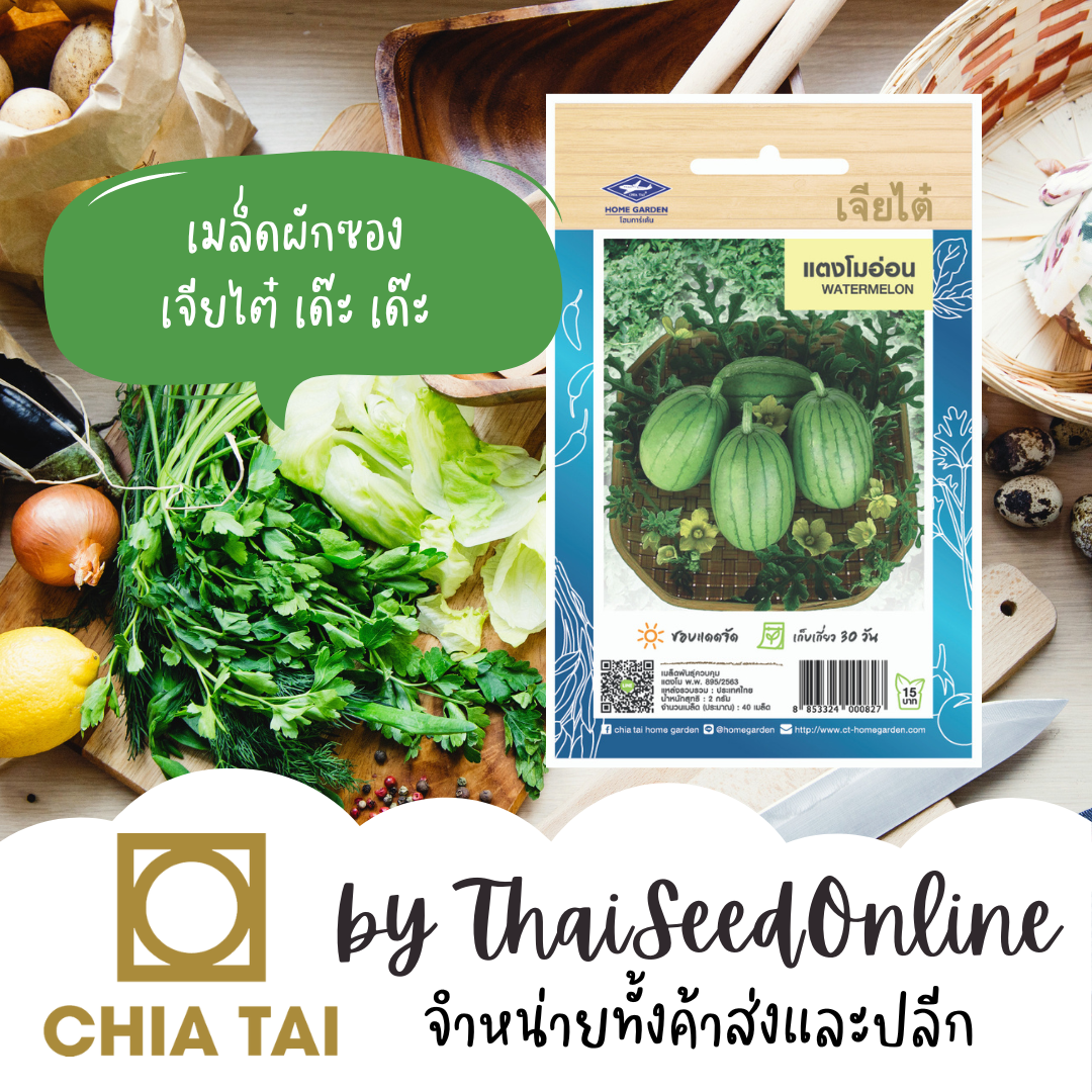 CTOP เมล็ดพันธุ์ แตงโมอ่อน ตราเจียไต๋
