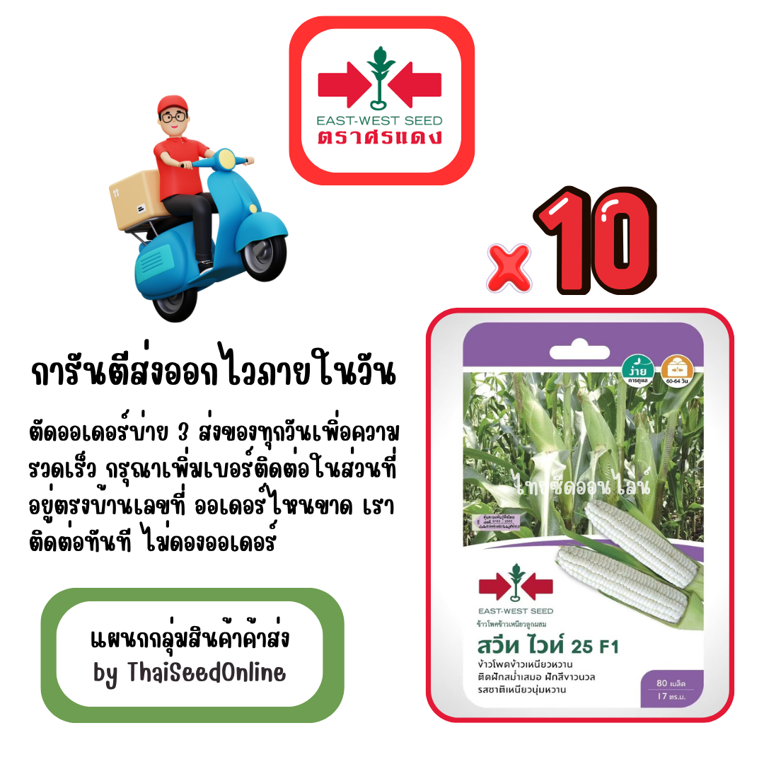 GGx10 เมล็ดผักซองศรแดง สวีทไวท์ ข้าวโพด สินค้ายกแพ็ค