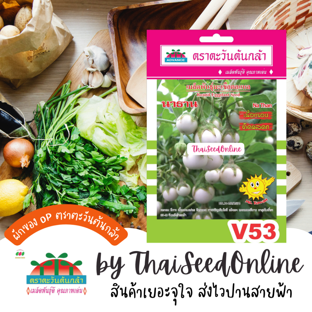 Advance Seeds(ตราตะวันต้นกล้า) ADVOP ซฟ เมล็ดพันธุ์ มะเขือตอแหลนาธาน ตราตะวันต้นกล้า V53