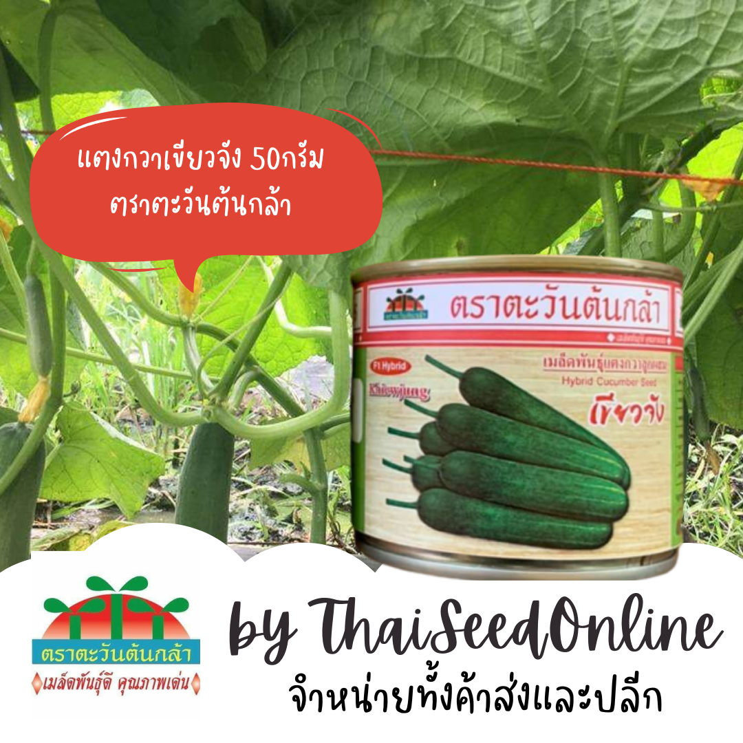 ADV กป 50กรัม เมล็ดพันธุ์ แตงกวา อย่างดีตราตะวันต้นกล้า แพลทินั่มใหม่ / เขียวจัง แตงกวาเขียวจัง