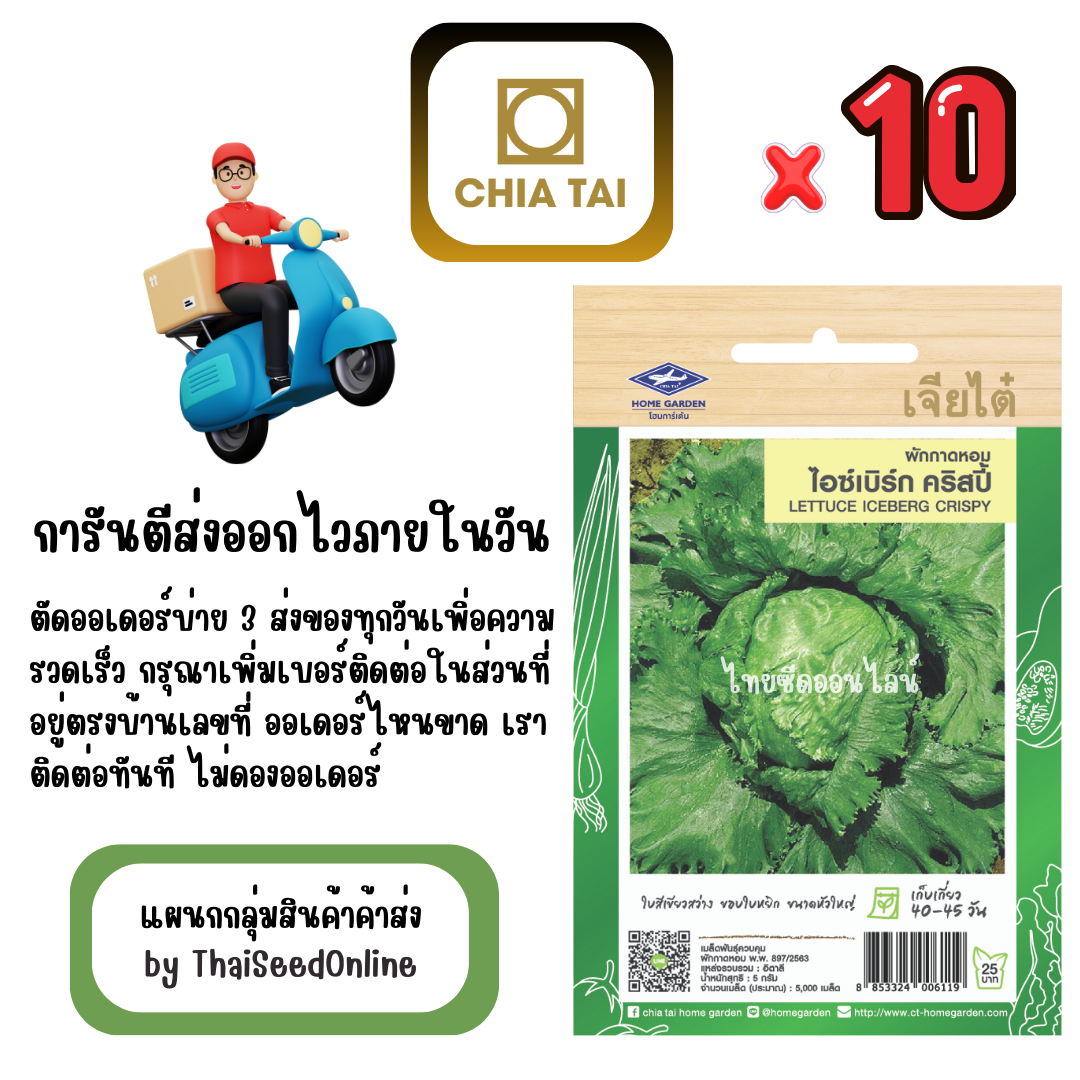 CTF1 x 10 เมล็ดผักซองเจียไต๋ ผักกาดแก้ว ไอซ์เบิร์ก คริสปี้ สลัดแก้ว สินค้ายกแพ็ค