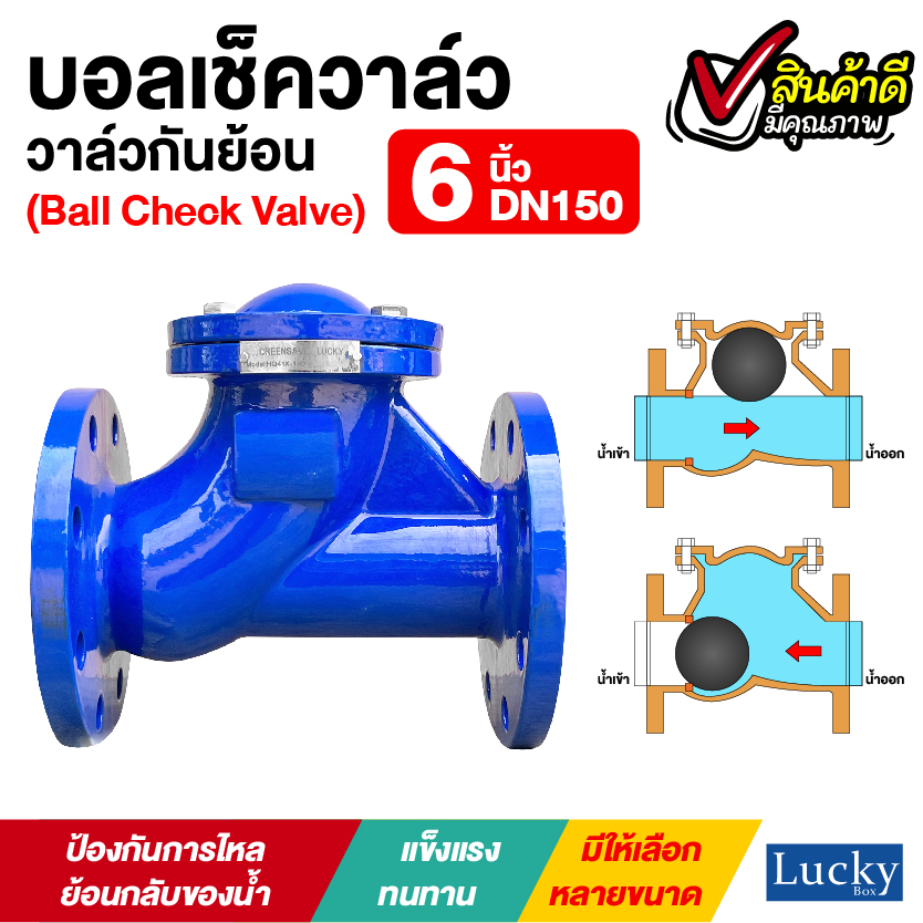 Ball Check Valve บอลเช็ควาล์ว มีหน้าแปลน ขนาด 6 นิ้ว