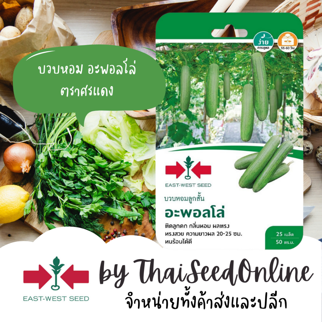 Sorndang(ศรแดง) GGEW 1/70 เมล็ดพันธุ์ บวบหอมลูกสั้น อะพอลโล 25เมล็ด ตราศรแดง Sponge Gourd