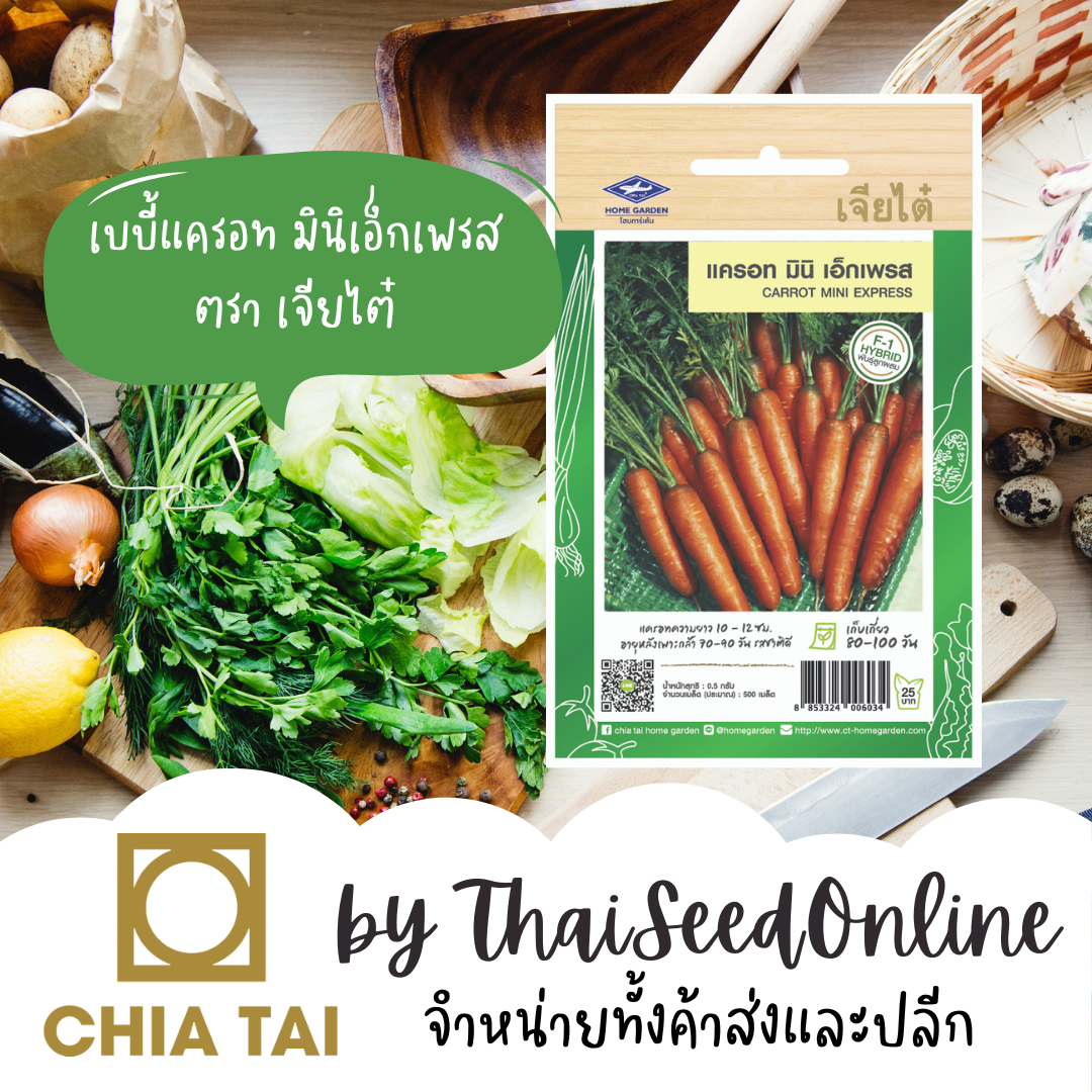 CTF1 เมล็ดพันธุ์ แครอท มินิเอ็กเพรส 500 เมล็ด ตราเจียไต๋ เบบี้แครอท Mini Express Carrot