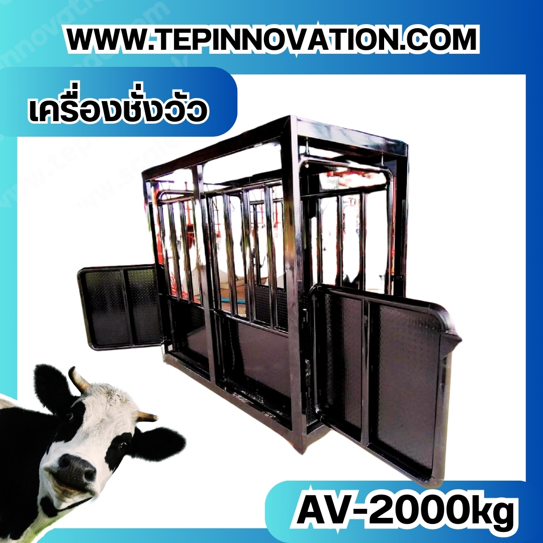 เครื่องชั่งวัวแบบกรง เครื่องชั่งวัว2000kg เครื่องชั่งสัตว์2ตัน เครื่องชั่งกรงสัตว์ เครื่องชั่งน้ำหนัก2000kg ตาชั่งวัว2ตัน ตาชั่งน้ำหนักวัว เครื่องชั่งวัวแบบดิจิตอล รุ่น AV (เครื่องชั่งผ่านตรวจจากสำนักชั่งตวงวัด)