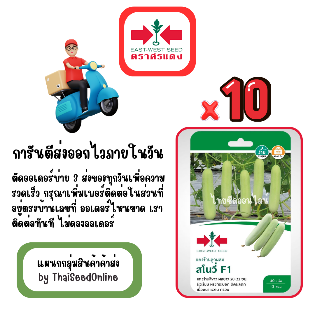 GGx10 เมล็ดผักซองศรแดง สโนวี่ แตงร้าน สินค้ายกแพ็ค