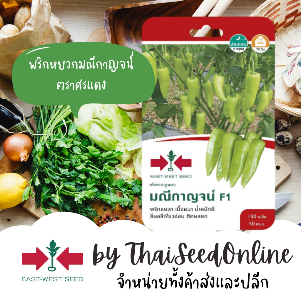 Sorndang(ศรแดง) GGEW เมล็ดพันธุ์ พริกหยวกลูกผสม มณีกาญจน์ 150เมล็ด ตราศรแดง