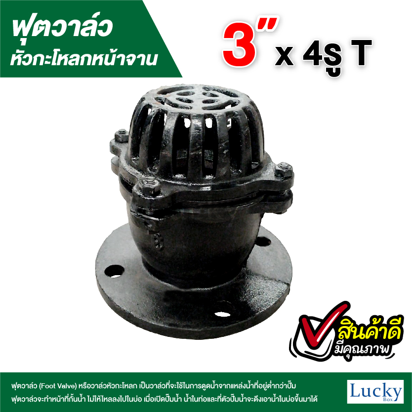 ฟุตวาล์ว (Foot Valve) วาล์วหัวกะโหลก หน้าจาน เหล็กหล่อ ขนาด 3 นิ้ว