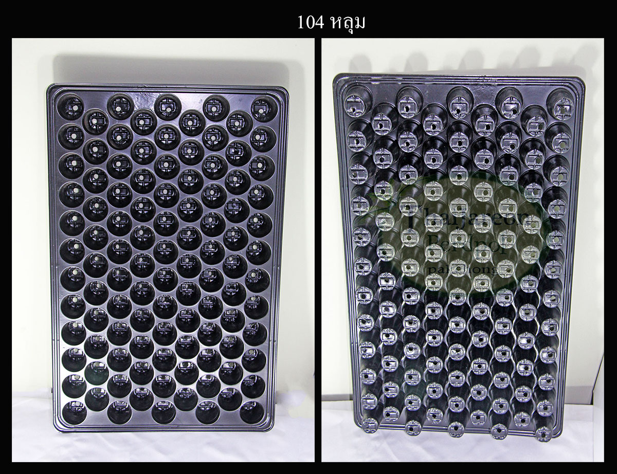 ถาดเพาะหลุม ถาดเพาะชำ ถาดเพาะกล้าสีดำ