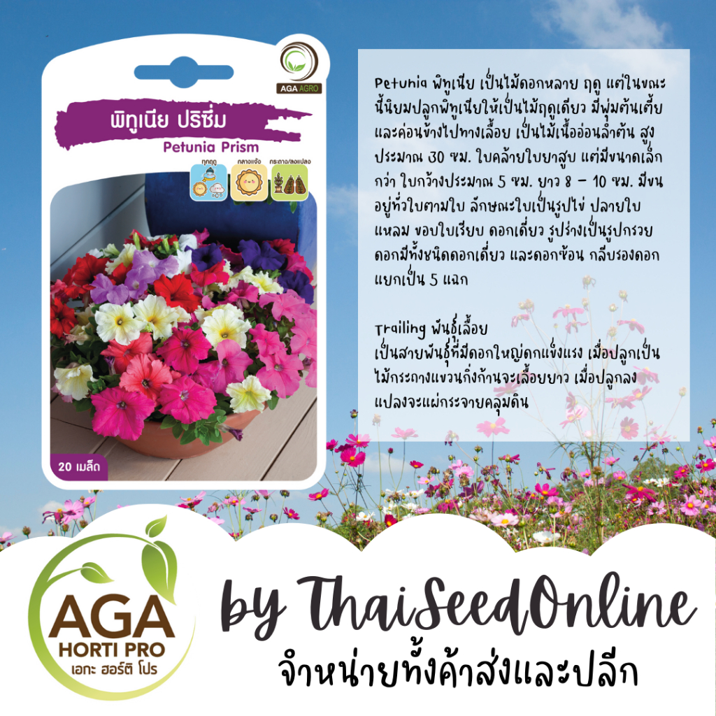 AGA Agro(เอกะ อะโกร) AGAPREMIUM พิทูเนีย 20เมล็ด ตราเอกะอะโกร Petunia