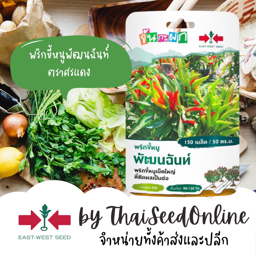 GGEW พริกขึ้หนูพัฒนฉันท์ 150เมล็ด ตราศรแดง พริกช่อ แบบเม็ดใหญ่เมล็ดพันธุ์พระราชทาน จันกะผัก Bunch Chilli