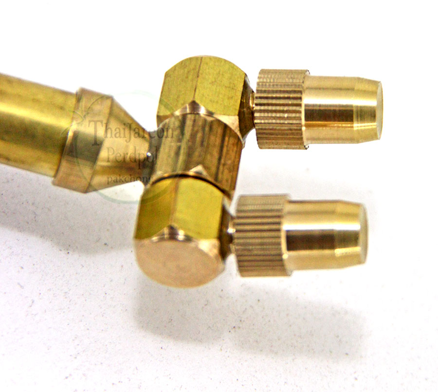 กระบอกฉีดน้ำ/ปืนพ่นน้ำ แรงดันสูง หัวทองเหลือง 2 หัว ปรับระดับได้ ใส่ขวดน้ำ