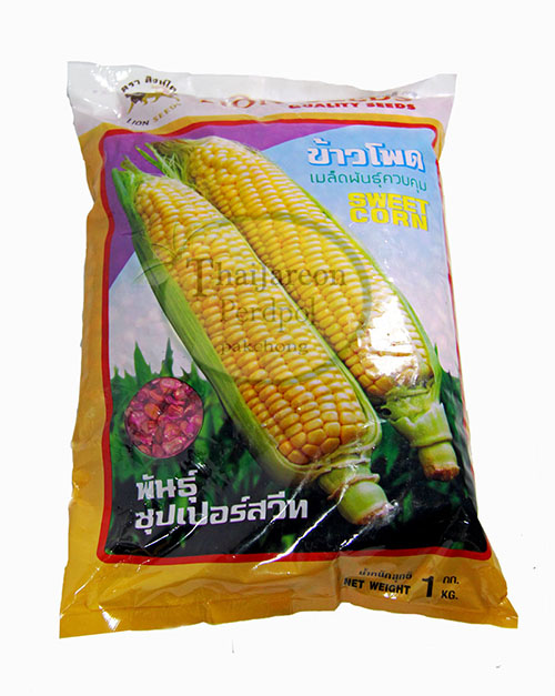 เมล็ดพันธุ์ ข้าวโพดหวาน Sweet Corn พันธุ์ซุปเปอร์สวีท ขนาด 1 กิโลกรัม