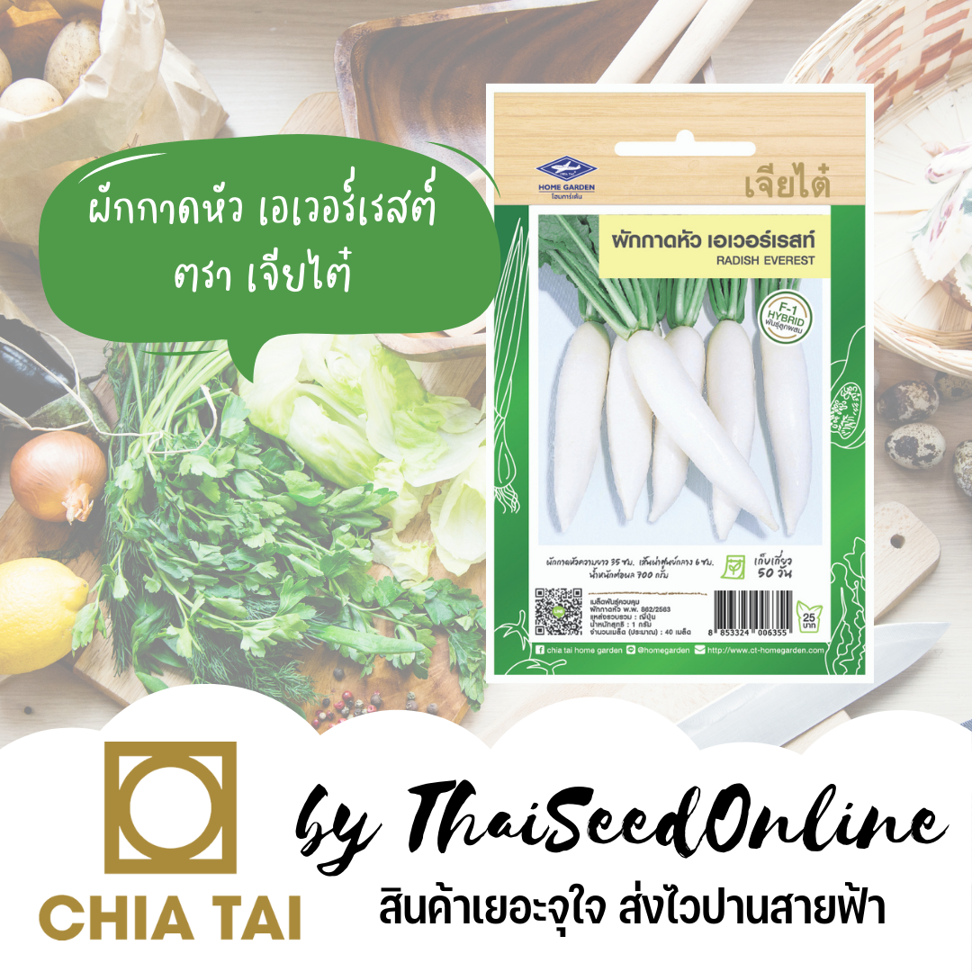 CTF1 เมล็ดพันธุ์ ผักกาดหัว เอเวอร์เรสท์ ปริมาณ 1 กรัม ประมาณ 40เมล็ด ตราเจียไต๋ หัวไชเท้า