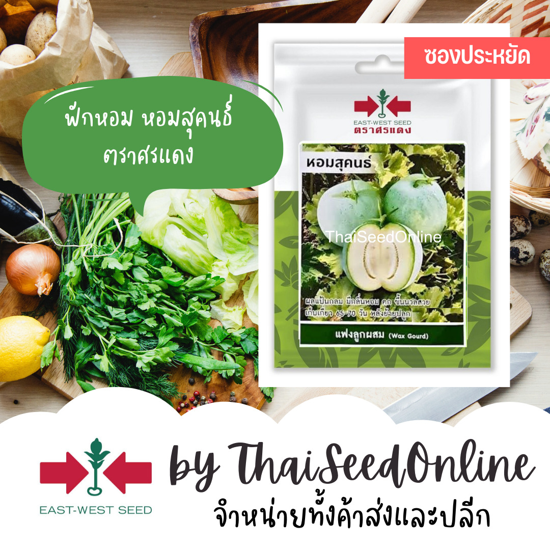 ตราศรแดง VP3 ซฟ เมล็ดพันธุ์ ฟักหอม หอมสุคนธ์ 25 เมล็ด ตราศรแดง Aroma Wax Gourd