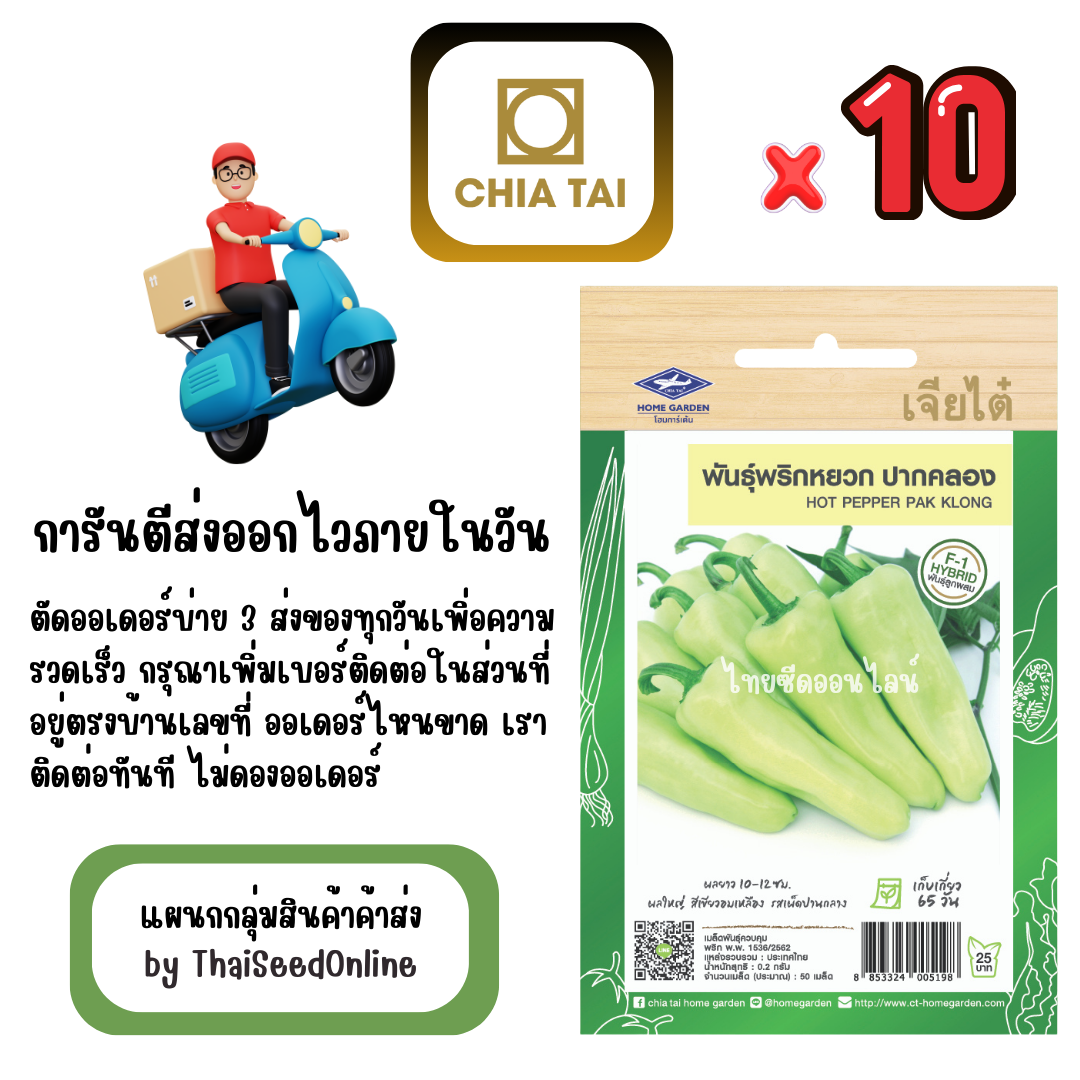 CTF1 x 10 เมล็ดผักซองเจียไต๋ พริกหยวก ปากคลอง สินค้ายกแพ็ค