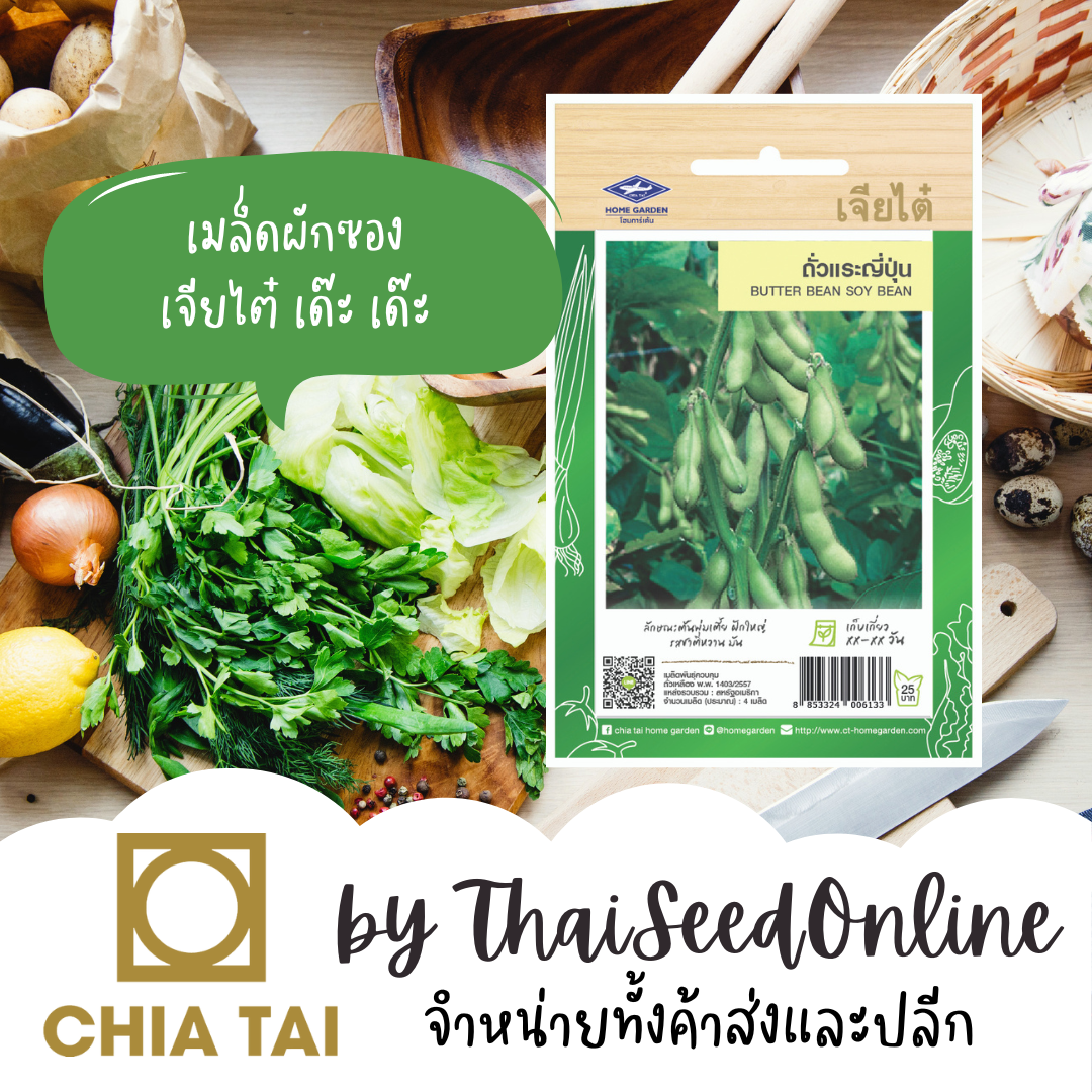 CTF1 เมล็ดพันธุ์ ถั่วแระญี่ปุ่น 4เมล็ด ตราเจียไต๋ Japanese Soybeans (Edamame)