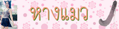 หมวกแฟชั่น หางแมว
