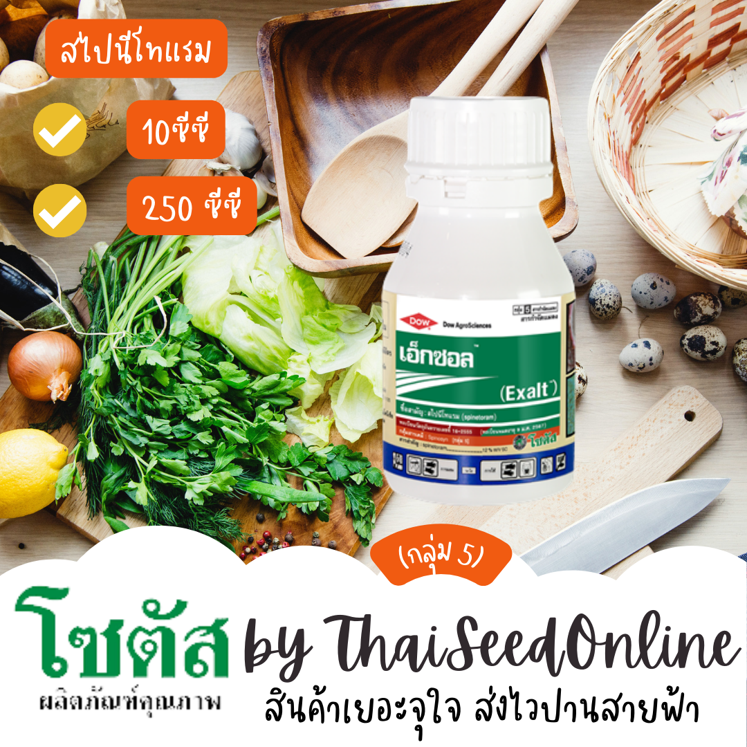 250 ซีซี เอ็กซอล (Exalt) เอ็กซอล จุดจบของหนอนร้าย และเพลี้ยไฟดื้อยา โซตัส PESTICIDE