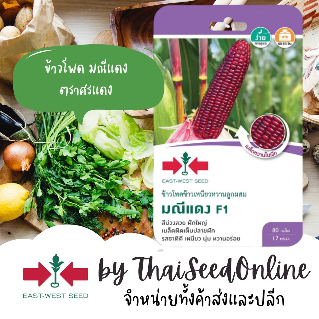 GGEW เมล็ดพันธุ์ซฟ ข้าวโพดข้าวเหนียวสีม่วง มณีแดง 80 เมล็ด ตราศรแดง Waxy corn