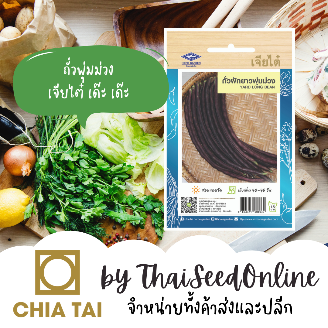 CTOP เมล็ดพันธุ์ ถั่วฝักยาว ถั่วพุ่ม ม่วง ตราเจียไต๋ Yard Long Bean ถั่วพุ่มม่วง