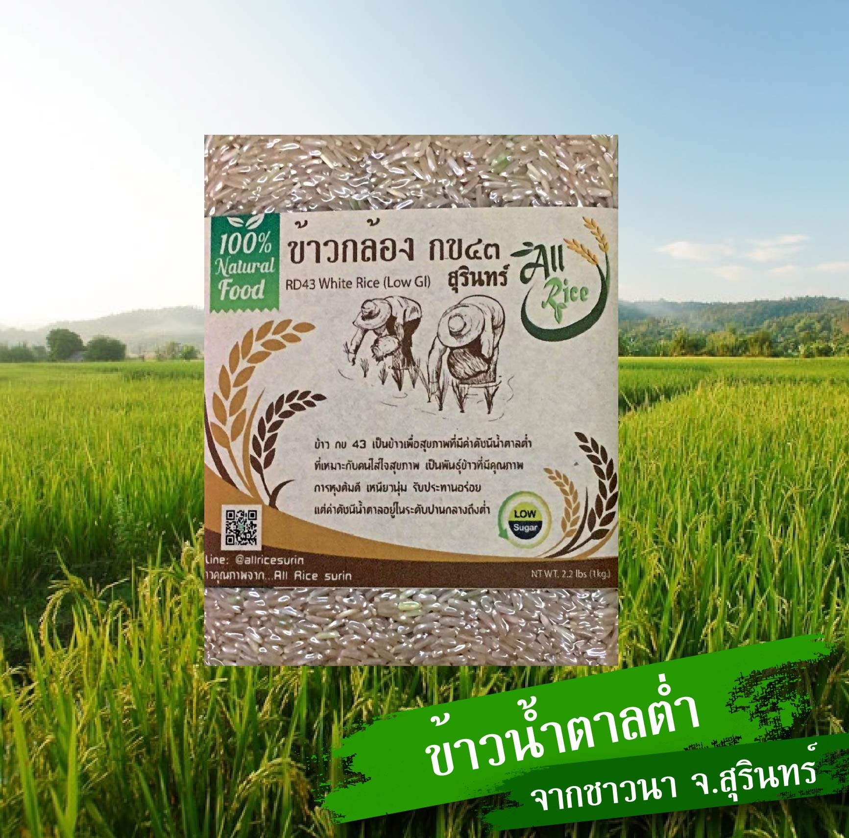 ข้าวกล้อง กข 43 ขนาด 1 กก.