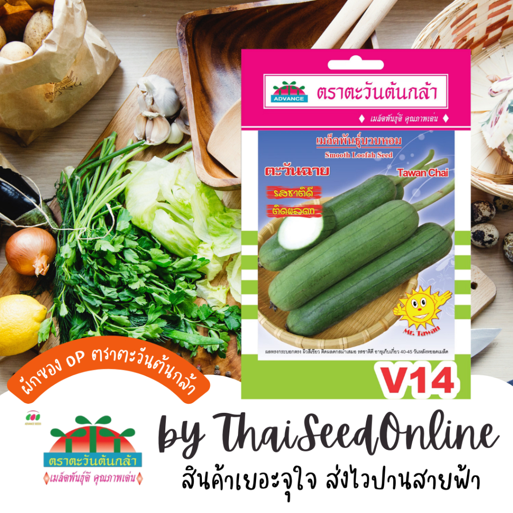 Advance Seeds(ตราตะวันต้นกล้า) ADVOP ซฟ เมล็ดพันธุ์ บวบหอม ตะวันฉาย ประมาณ 10 เมล็ด ตราตะวันต้นกล้า V14