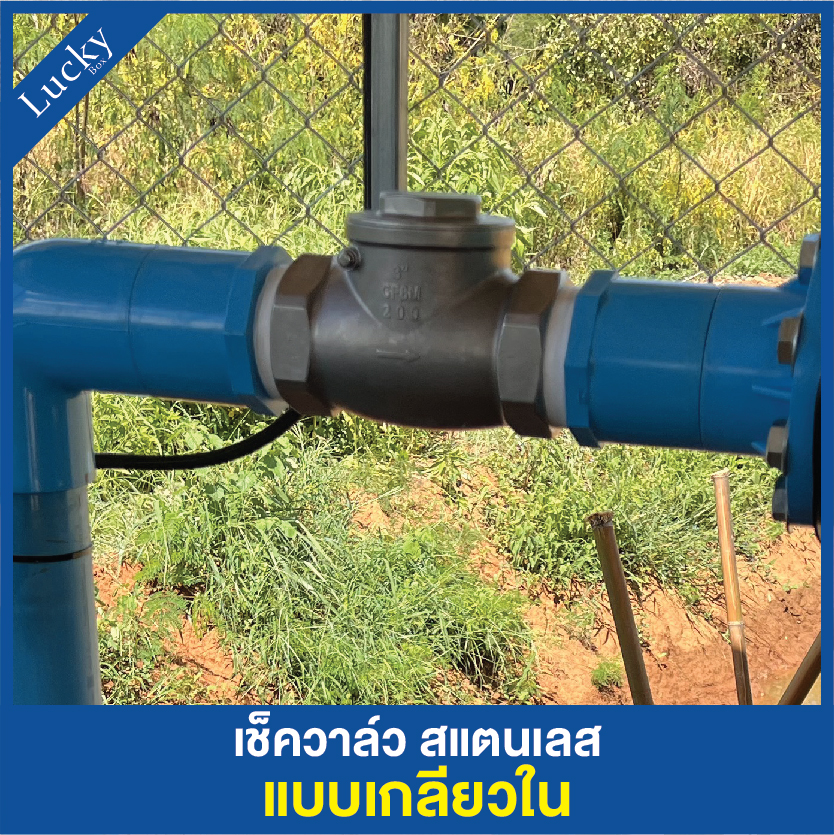 เช็ควาล์วสแตนเลส 304 เแบบเกลียวบานพับแนวนอน ขนาด 3 นิ้ว DN80