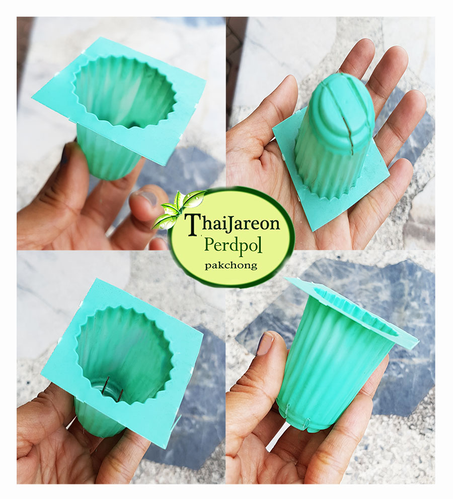 ถาดเพาะไฮโดรโปนิกส์ ถาดเพาะชำ ถาดเพาะกล้าสีเขียว 80 หลุม