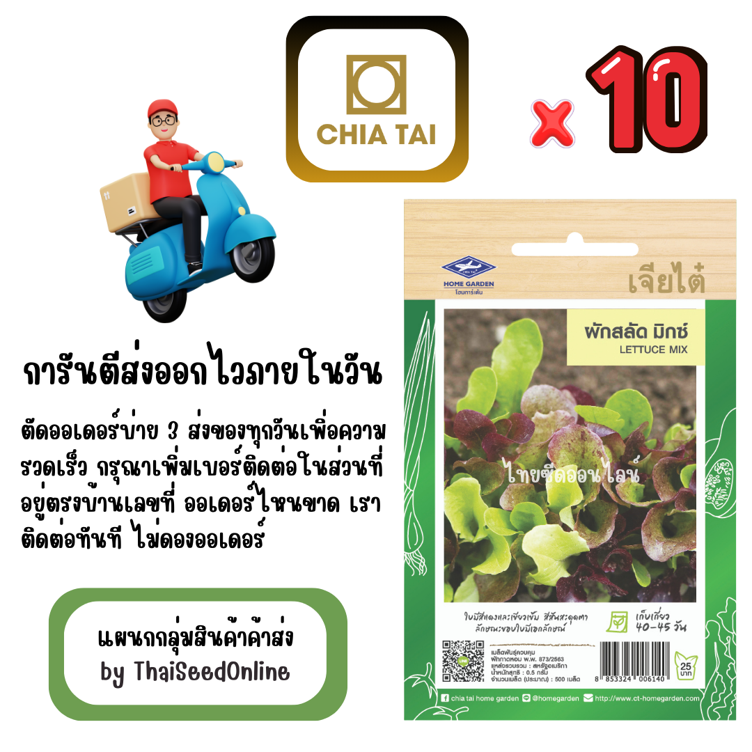 CTF1 x 10 เมล็ดผักซองเจียไต๋ ผักสลัด ผักกาดหอม สลักมิกซ์ สินค้ายกแพ็ค