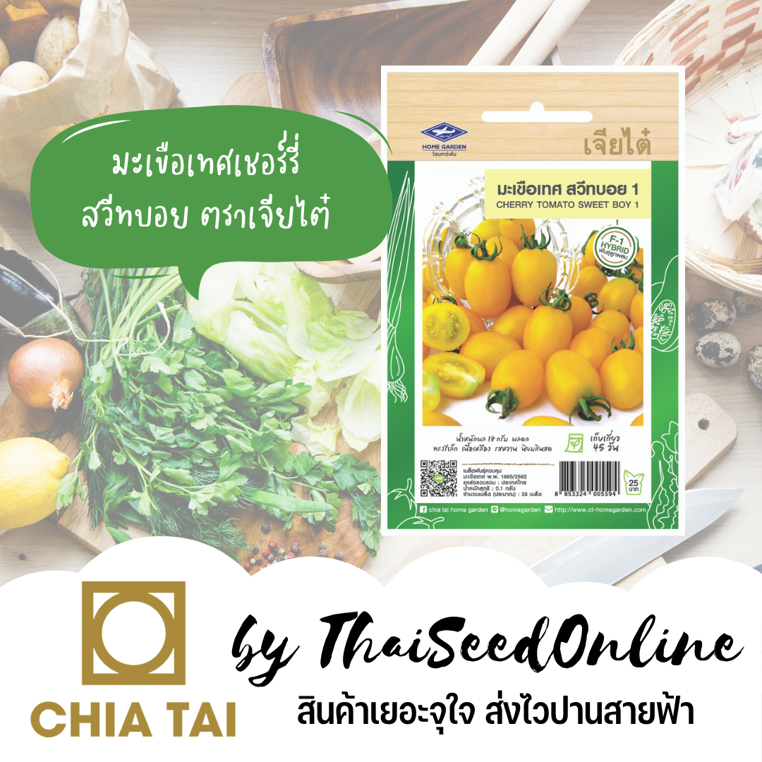 CTF1 เมล็ดพันธุ์ มะเขือเทศเชอร์รี่สีเหลืองสวีทบอย +/-28เมล็ด ตราเจียไต๋ Cherry Tomato