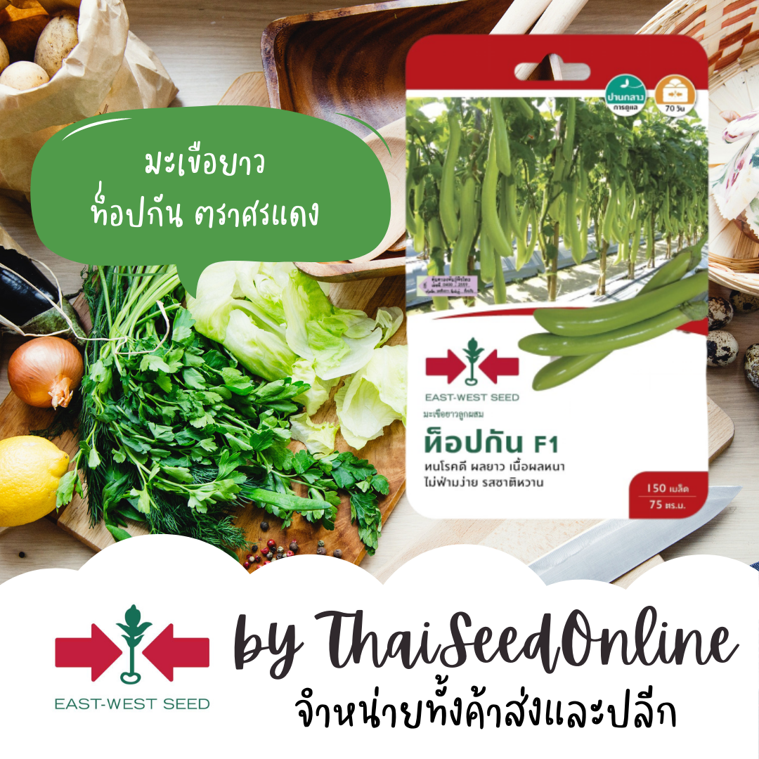 GGEW เมล็ดพันธุ์ซฟ มะเขือยาว สีเขียวท็อปกัน ตราศรแดง Long Eggplant