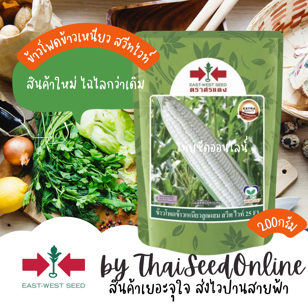 EWCOM เมล็ดพันธุ์ 200 กรัม ข้าวโพดลูกผสม ข้าวโพดข้าวเหนียวลูกผสมสวีทไวท์25 ตราศรแดง Corn