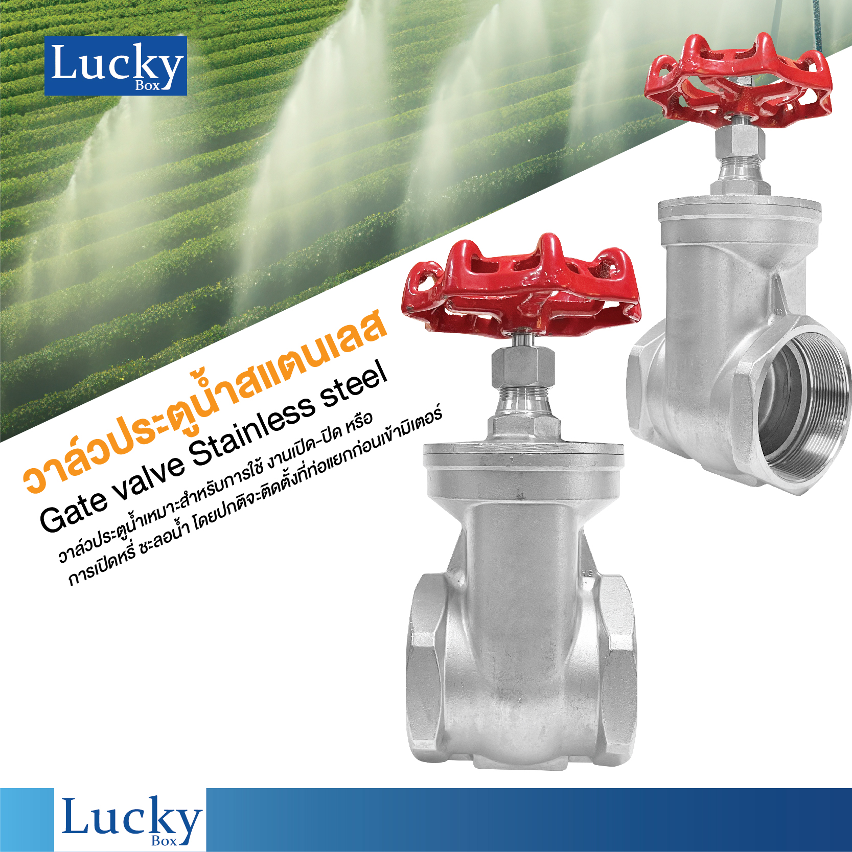 Gate valve (เกทวาล์ว) วาล์วประตูน้ำสแตนเลส ขนาด 3 นิ้ว