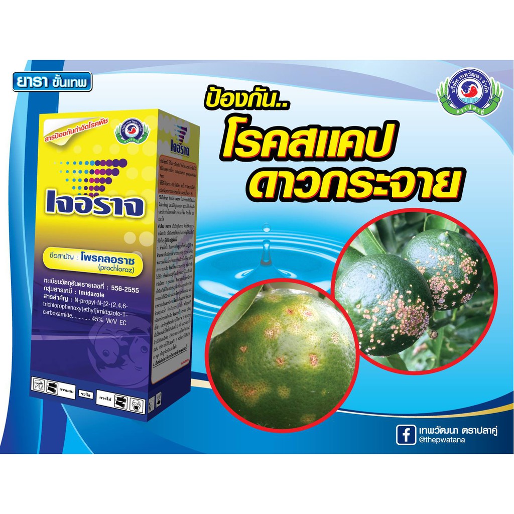 PTU เจอราจ 100 ซีซี Prochloraz รักษาโรคกุ้งแห้งในพริก แอนแทรคโนส บริษัท แพลนเตอร์ ยูไนเต็ด จำกัด