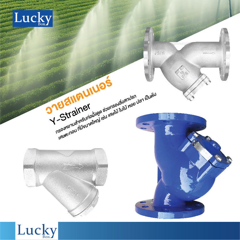 Y Strainer วายสแตนเนอร์ สแตนเลส ขนาด 4 นิ้ว แบบหน้าแปลน 10K