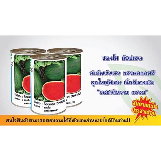 แตงโมลูกผสม ท็อปเรด 100 กรัม และ 250 กรัม ตราซีดไลน์ Watermelon