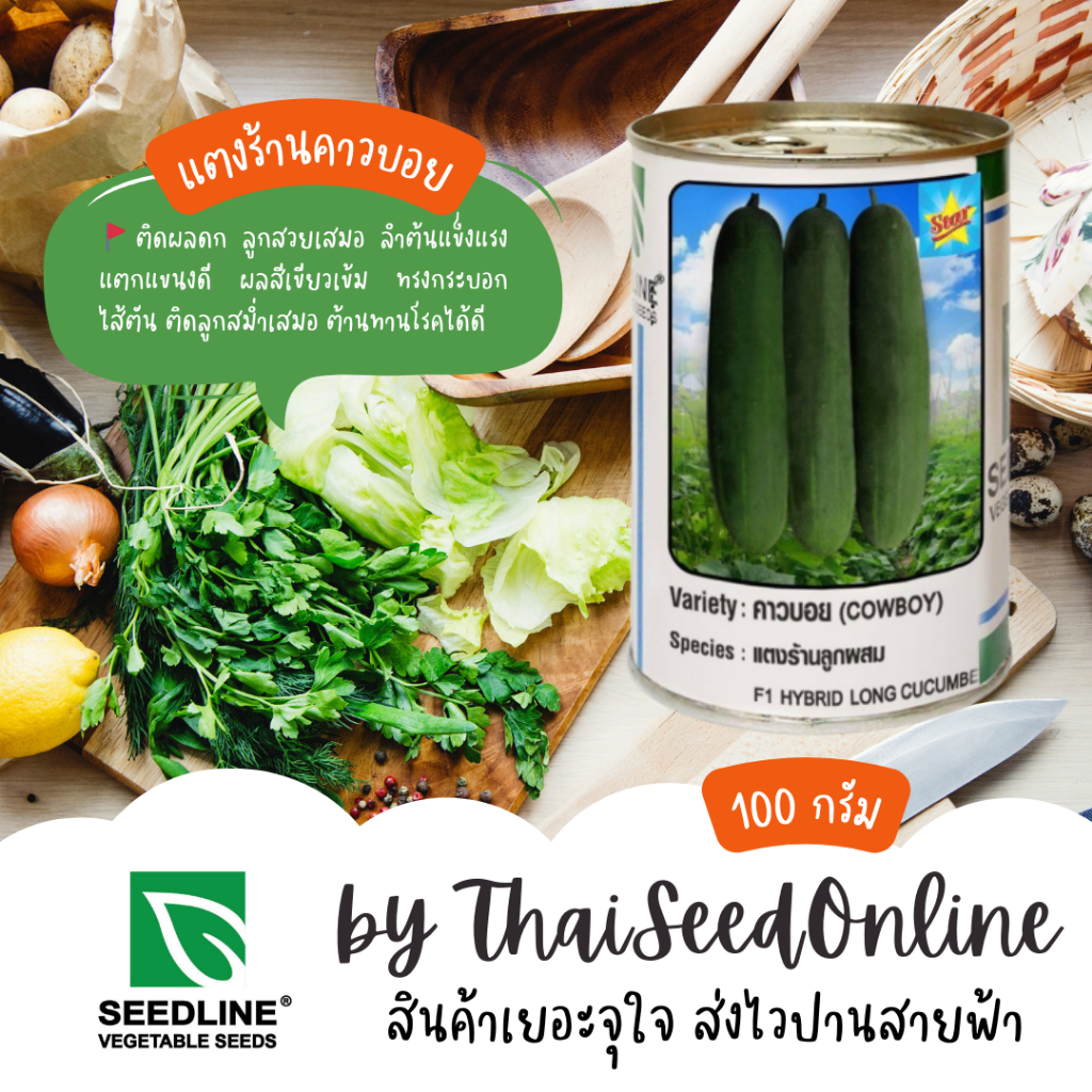 Seed Line(ซีดไลน์) กป 100 กรัม เมล็ดพันธุ์ แตงร้าน คาวบอย ตราซีดไลน์ NOBEL Cucumber