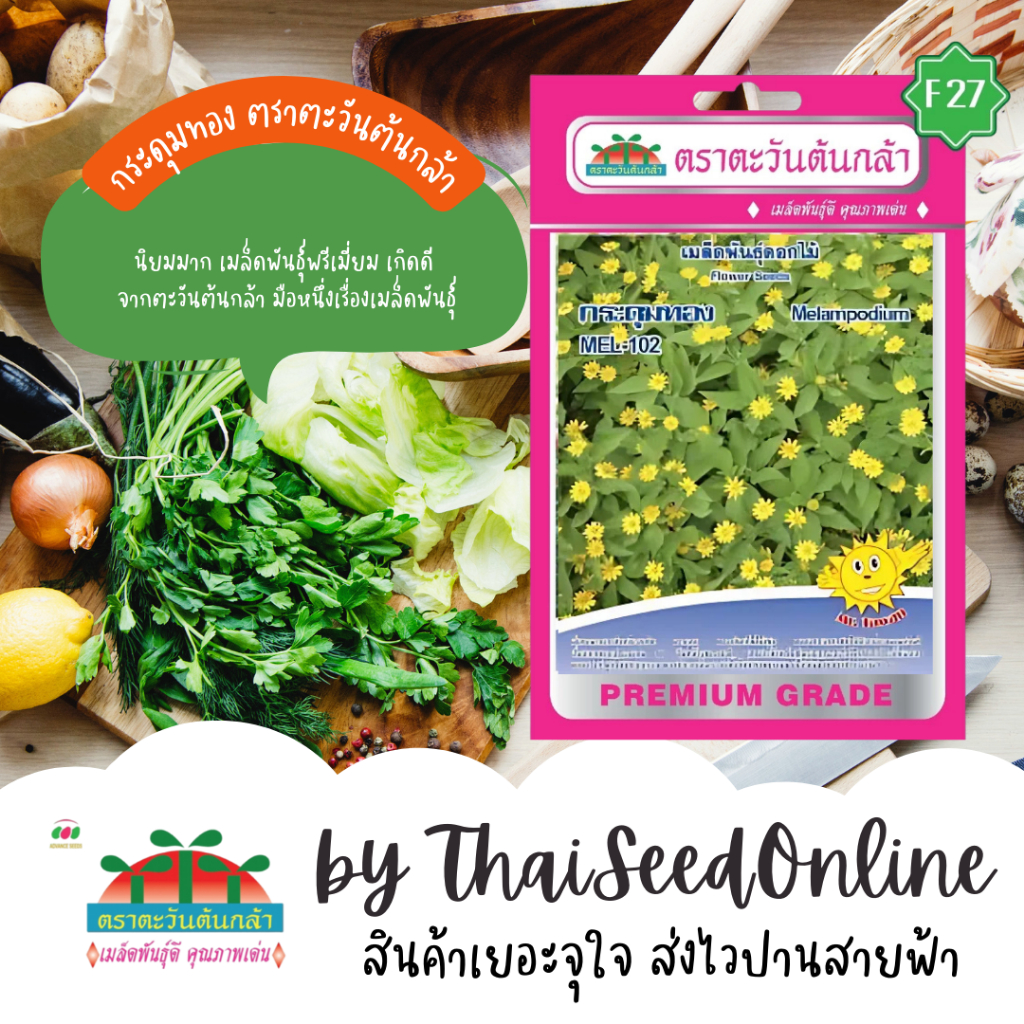 Advance Seeds(ตราตะวันต้นกล้า) ADVF1 ซฟ เมล็ดพันธุ์ดอกไม้ กระดุมทอง ตราตะวันต้นกล้า
