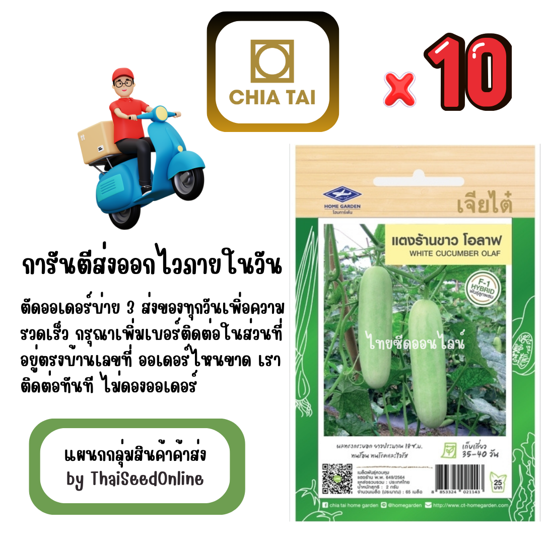 CTF1 x 10 เมล็ดผักซองเจียไต๋ แตงโม ไร้เมล็ด แม็กนั่ม สินค้ายกแพ็ค