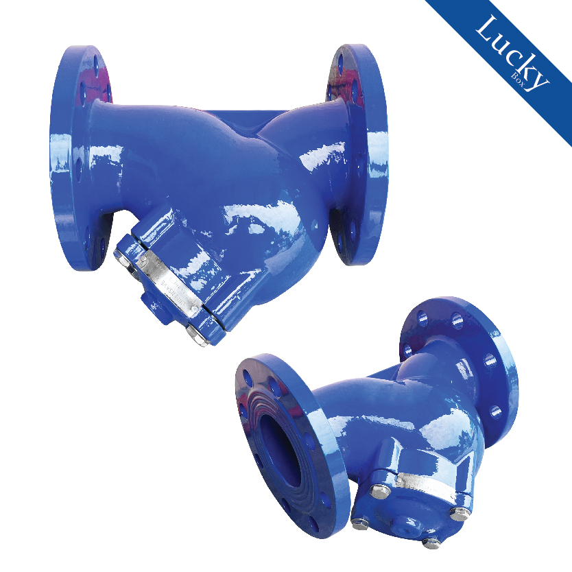 Y Strainer วายสแตนเนอร์ เหล็กหล่อ ขนาด 6 นิ้ว แบบหน้าแปลน 10K